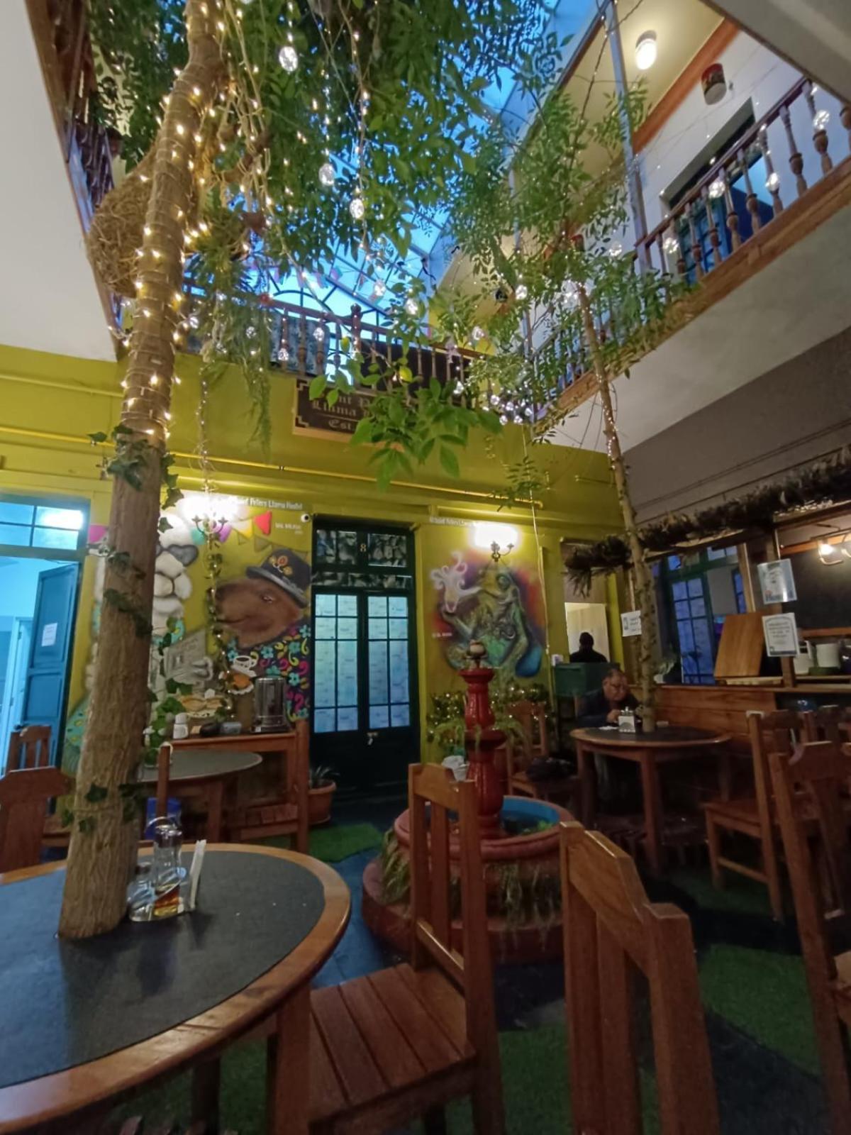 Saint Peter'S Llama Hostal La Paz Exteriér fotografie
